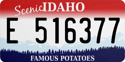 ID license plate E516377