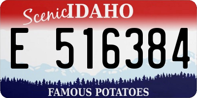 ID license plate E516384