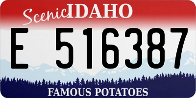 ID license plate E516387