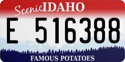 ID license plate E516388