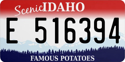 ID license plate E516394