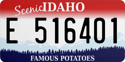 ID license plate E516401