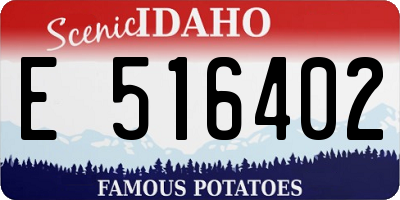 ID license plate E516402
