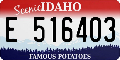 ID license plate E516403