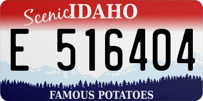 ID license plate E516404