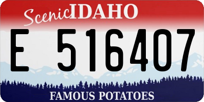 ID license plate E516407