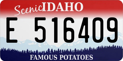 ID license plate E516409