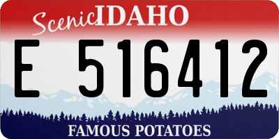 ID license plate E516412