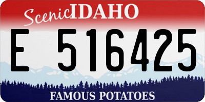 ID license plate E516425