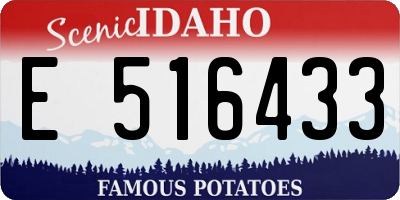 ID license plate E516433