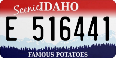 ID license plate E516441
