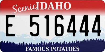 ID license plate E516444