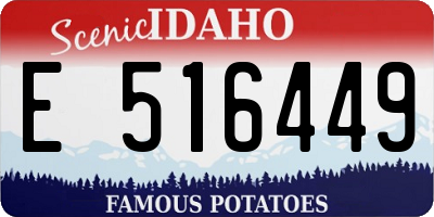 ID license plate E516449