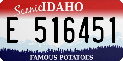 ID license plate E516451