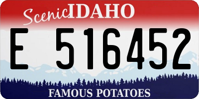 ID license plate E516452