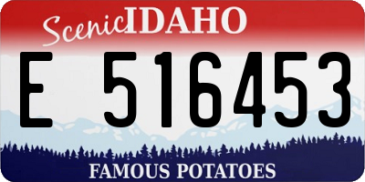 ID license plate E516453