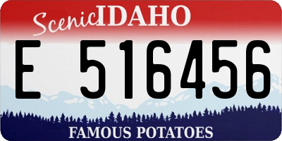ID license plate E516456