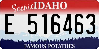 ID license plate E516463