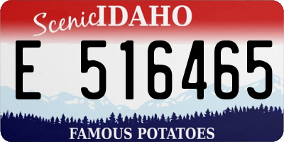 ID license plate E516465