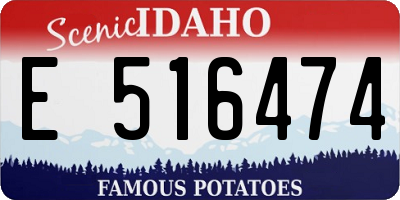 ID license plate E516474