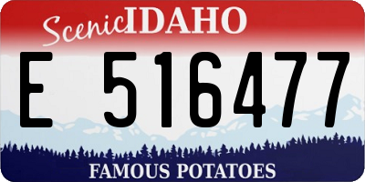 ID license plate E516477