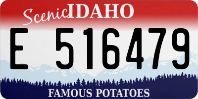 ID license plate E516479