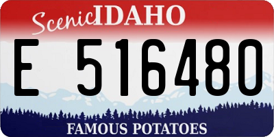 ID license plate E516480