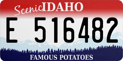 ID license plate E516482
