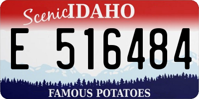 ID license plate E516484