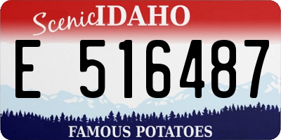 ID license plate E516487