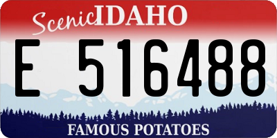 ID license plate E516488