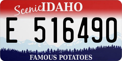 ID license plate E516490