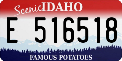 ID license plate E516518
