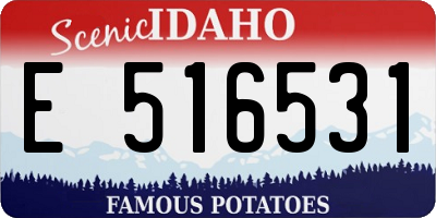ID license plate E516531