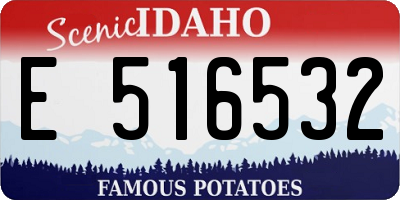 ID license plate E516532