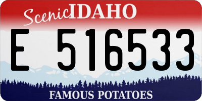 ID license plate E516533