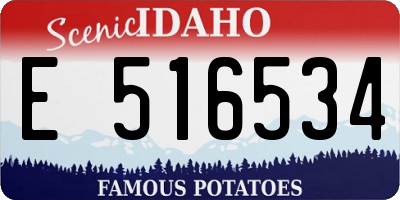ID license plate E516534