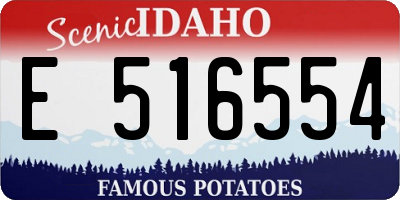 ID license plate E516554
