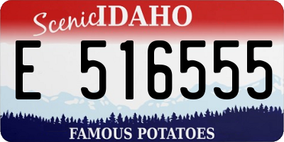 ID license plate E516555
