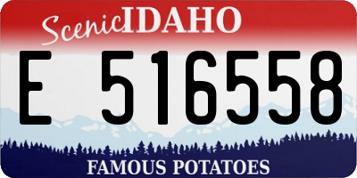 ID license plate E516558