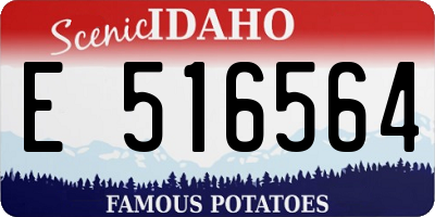 ID license plate E516564
