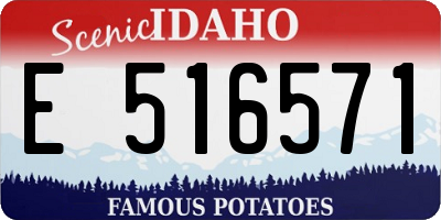 ID license plate E516571