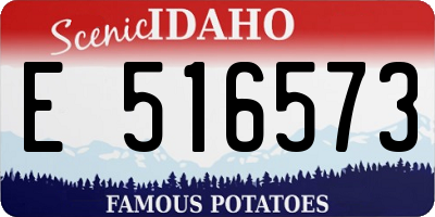 ID license plate E516573