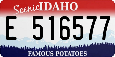 ID license plate E516577
