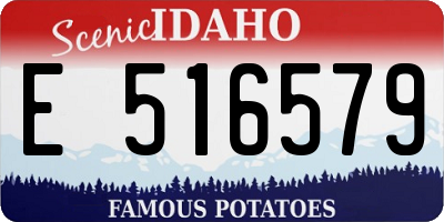 ID license plate E516579
