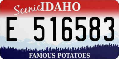 ID license plate E516583