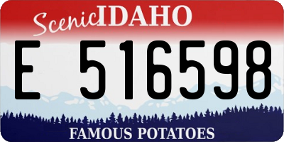 ID license plate E516598