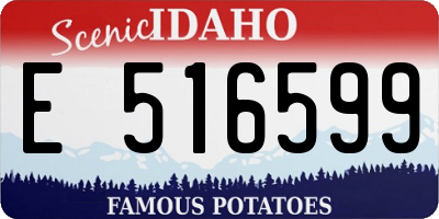 ID license plate E516599