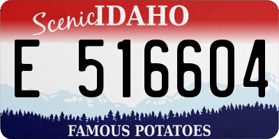 ID license plate E516604