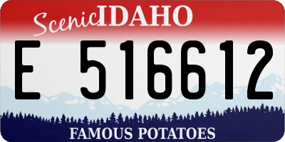 ID license plate E516612